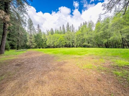 7250 Mitchell Mill Rd, Wilseyville, CA 95257 Photo