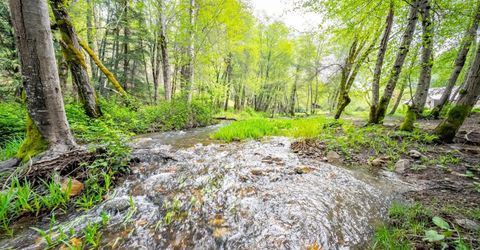 7250 Mitchell Mill Rd, Wilseyville, CA 95257 Photo
