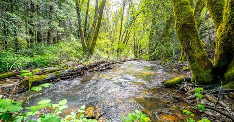 7250 Mitchell Mill Rd, Wilseyville, CA 95257 Photo