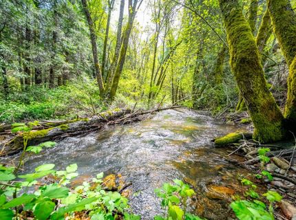 7250 Mitchell Mill Rd, Wilseyville, CA 95257 Photo
