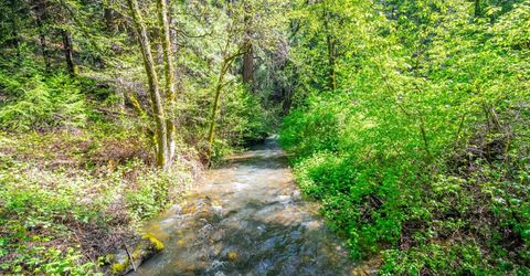 7250 Mitchell Mill Rd, Wilseyville, CA 95257 Photo