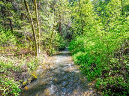 7250 Mitchell Mill Rd, Wilseyville, CA 95257 Photo