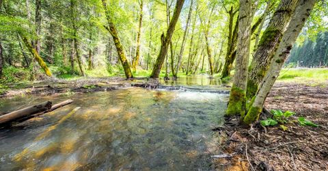 7250 Mitchell Mill Rd, Wilseyville, CA 95257 Photo