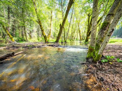 7250 Mitchell Mill Rd, Wilseyville, CA 95257 Photo