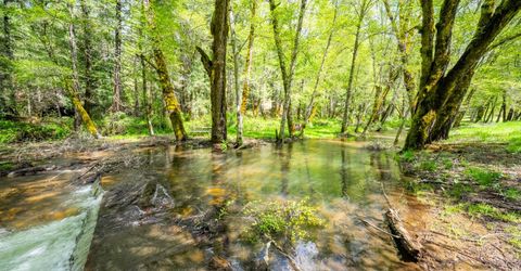 7250 Mitchell Mill Rd, Wilseyville, CA 95257 Photo