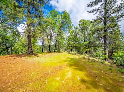 7250 Mitchell Mill Rd, Wilseyville, CA 95257 Photo