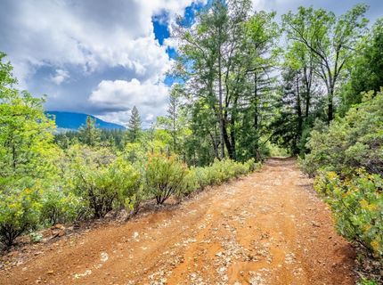 7250 Mitchell Mill Rd, Wilseyville, CA 95257 Photo