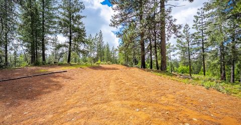 7250 Mitchell Mill Rd, Wilseyville, CA 95257 Photo