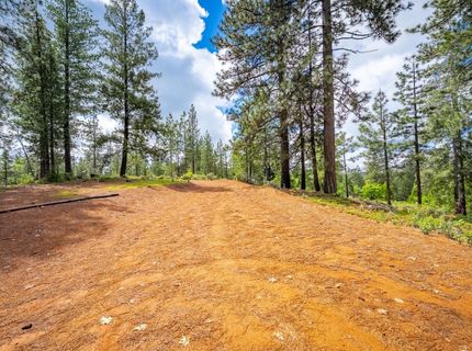 7250 Mitchell Mill Rd, Wilseyville, CA 95257 Photo