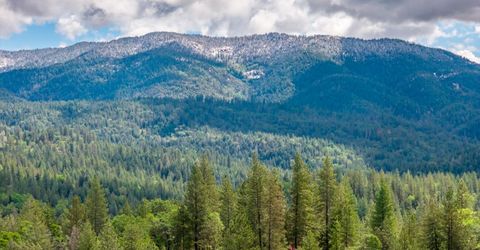 7250 Mitchell Mill Rd, Wilseyville, CA 95257 Photo