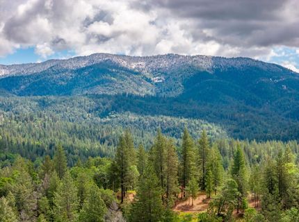 7250 Mitchell Mill Rd, Wilseyville, CA 95257 Photo