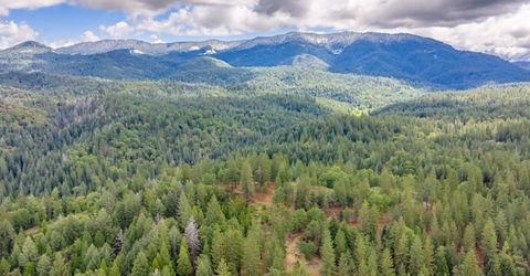 7250 Mitchell Mill Rd, Wilseyville, CA 95257 Photo