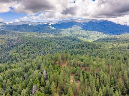 7250 Mitchell Mill Rd, Wilseyville, CA 95257 Photo