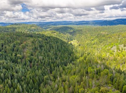7250 Mitchell Mill Rd, Wilseyville, CA 95257 Photo