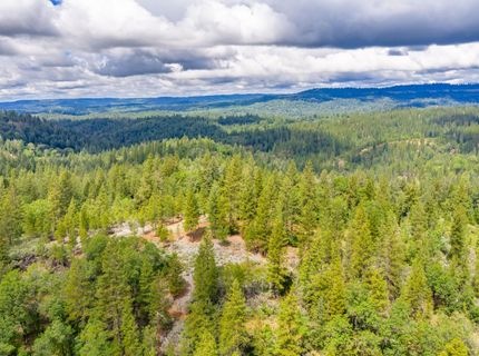 7250 Mitchell Mill Rd, Wilseyville, CA 95257 Photo