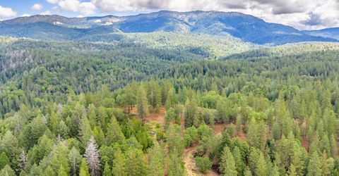 7250 Mitchell Mill Rd, Wilseyville, CA 95257 Photo