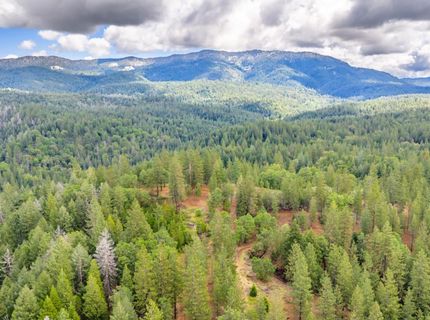 7250 Mitchell Mill Rd, Wilseyville, CA 95257 Photo
