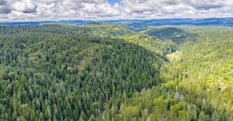 7250 Mitchell Mill Rd, Wilseyville, CA 95257 Photo