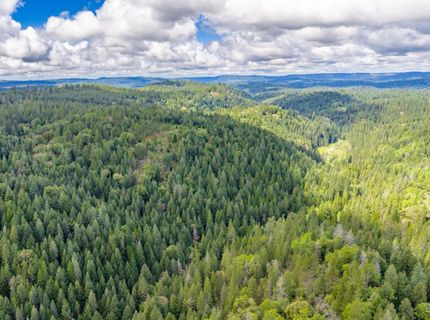 7250 Mitchell Mill Rd, Wilseyville, CA 95257 Photo