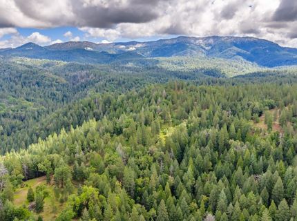7250 Mitchell Mill Rd, Wilseyville, CA 95257 Photo