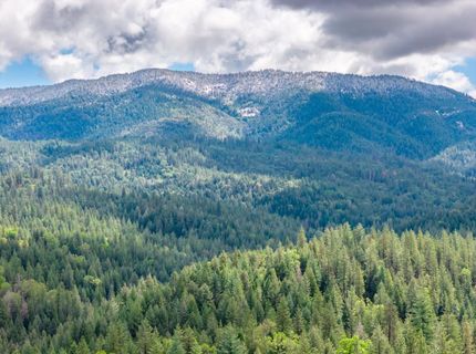 7250 Mitchell Mill Rd, Wilseyville, CA 95257 Photo