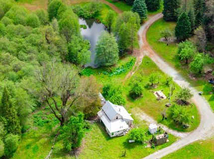 7250 Mitchell Mill Rd, Wilseyville, CA 95257 Photo