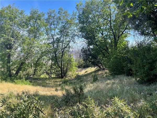 363 Raccoon Road, Berry Creek, CA 95916