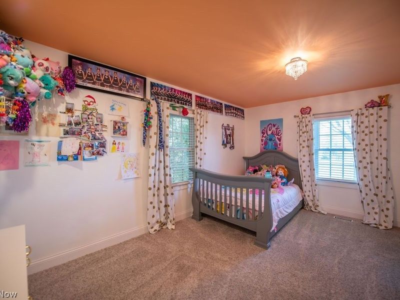 1150 E Beech Street, Alliance, OH 44601 Photo 39