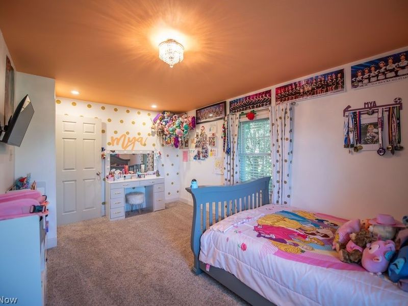 1150 E Beech Street, Alliance, OH 44601 Photo 40