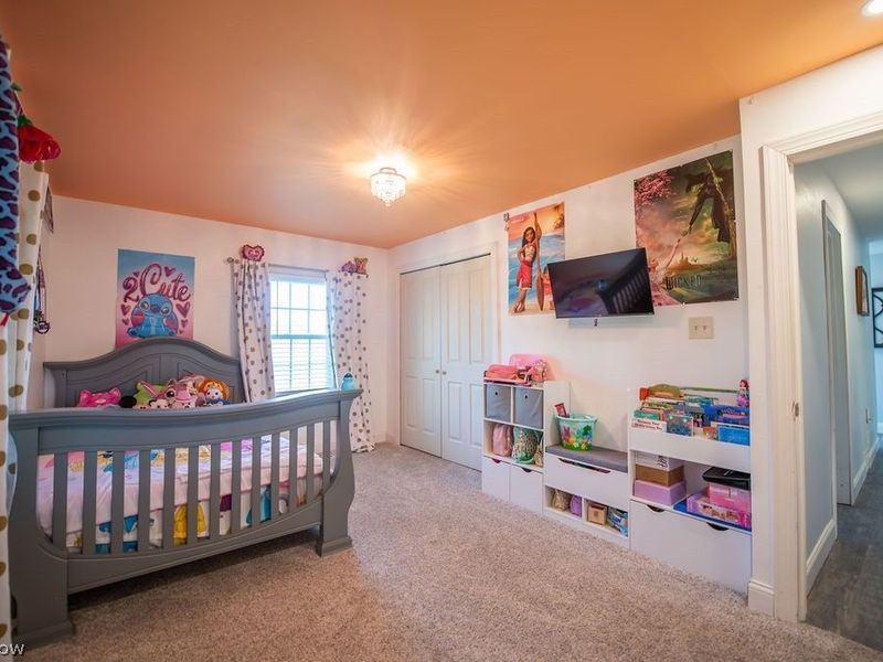 1150 E Beech Street, Alliance, OH 44601 Photo 41