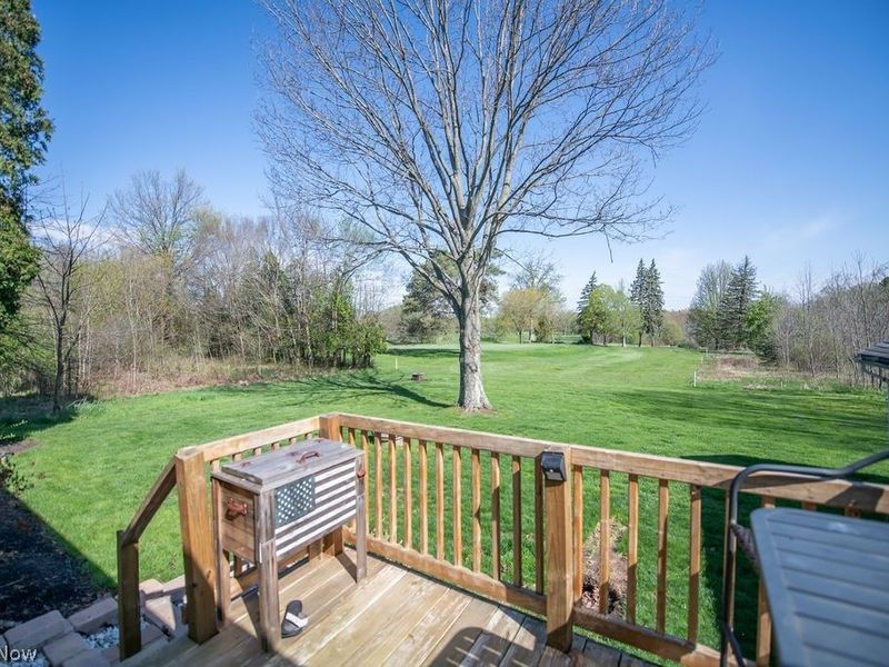 1150 E Beech Street, Alliance, OH 44601 Photo 9