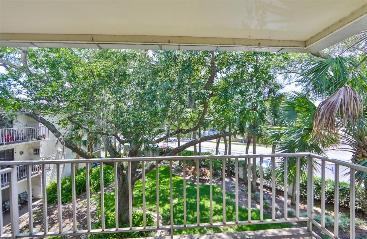 3325 Bayshore Boulevard, Unit E34, Tampa, FL 33629 Photo