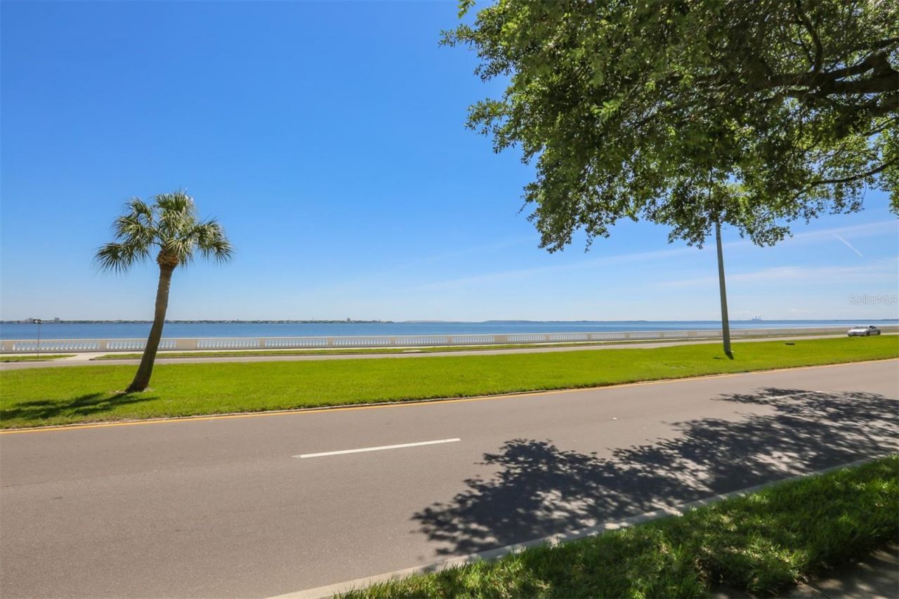 3325 Bayshore Boulevard, Unit E34, Tampa, FL 33629 Photo