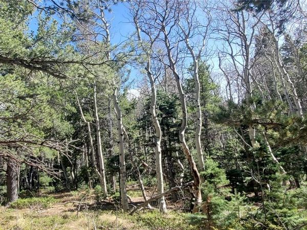 Lot 2560 Grojean Drive , Fort Garland, CO 81133