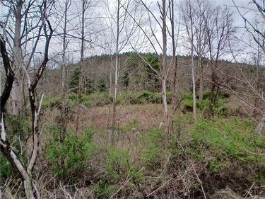 0 Caton Rd (ST RT 225) , Corning, NY 14830