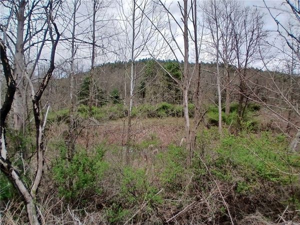 0 Caton Rd (ST RT 225) , Corning, NY 14830