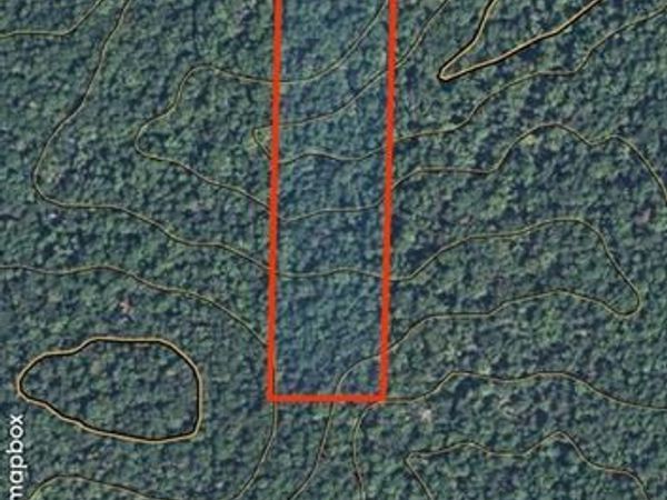 0 W of Highway 21 , Grandin, MO 63943