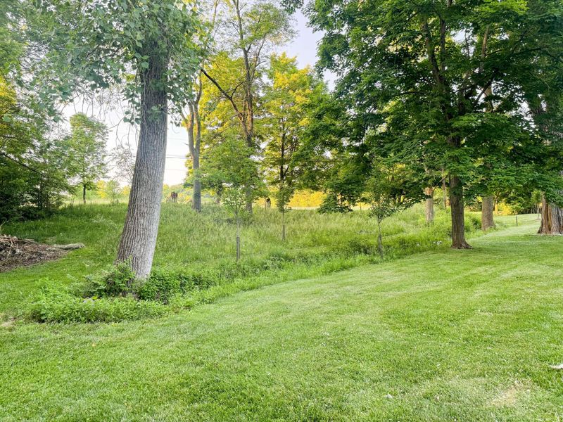 4871 Rutherford Road, Powell, OH 43065 Photo 6