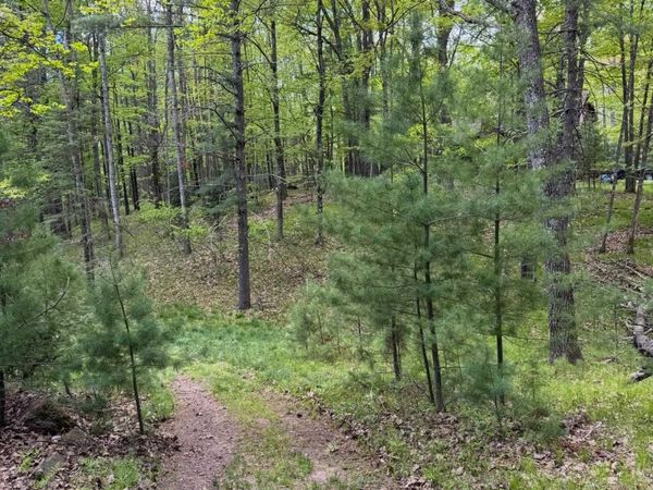 Trailwood Drive, Minocqua, WI 54548