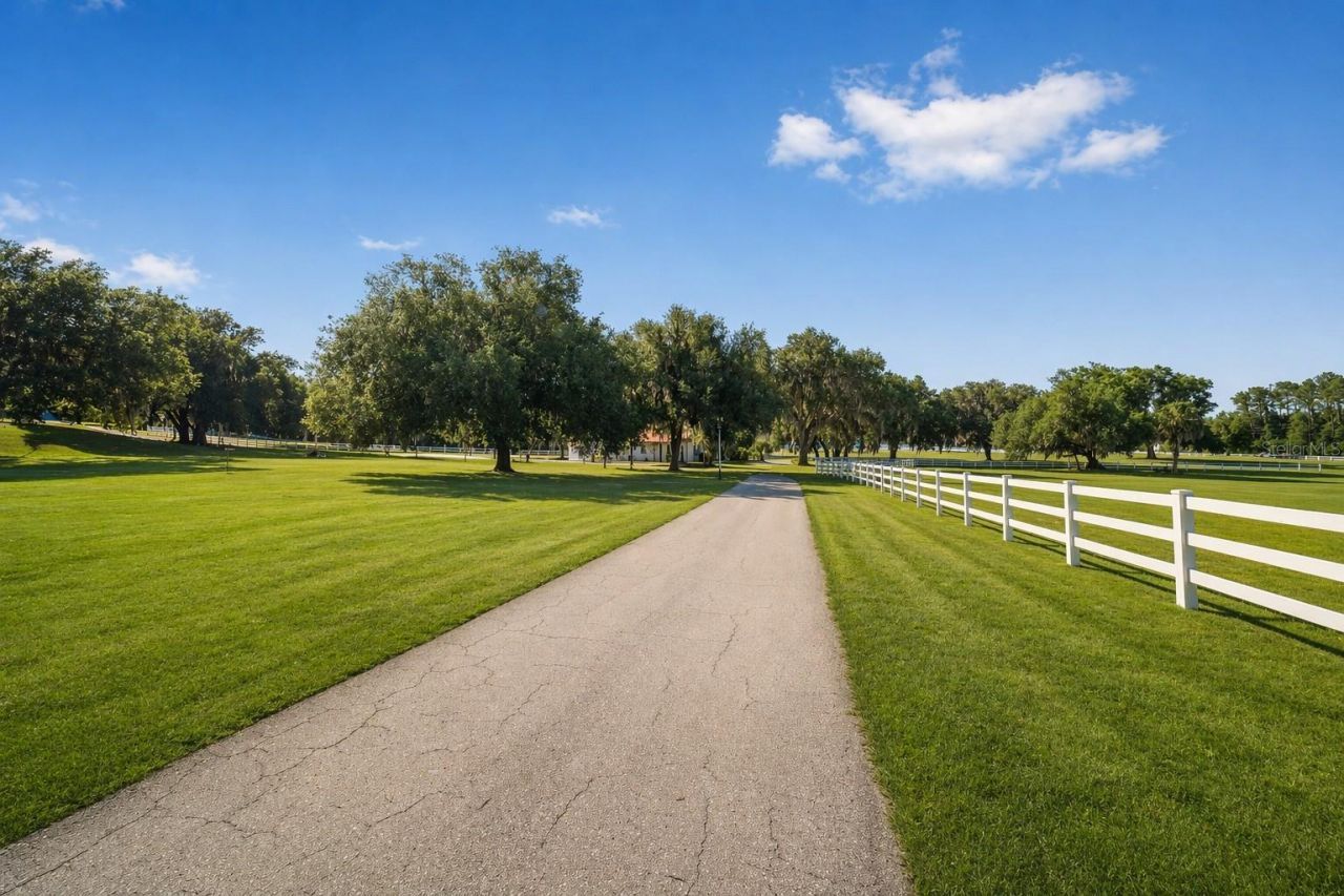 22620 Highway 441 N, Micanopy, FL 32667 Photo