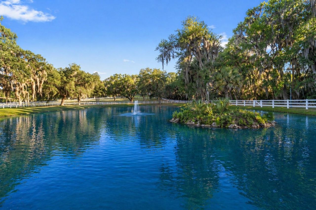 22620 Highway 441 N, Micanopy, FL 32667 Photo