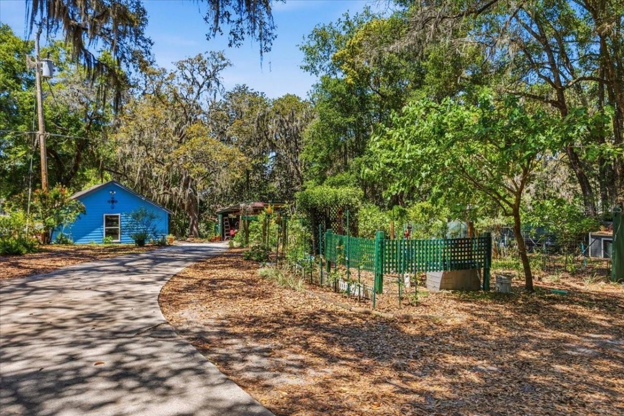 8386 Austin Road , Melrose, FL 32666 Photo