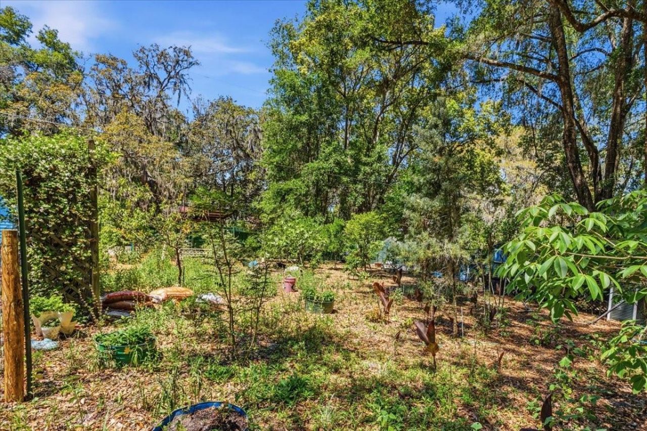 8386 Austin Road , Melrose, FL 32666 Photo