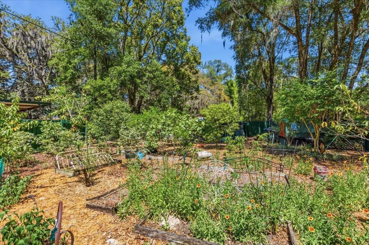 8386 Austin Road , Melrose, FL 32666 Photo