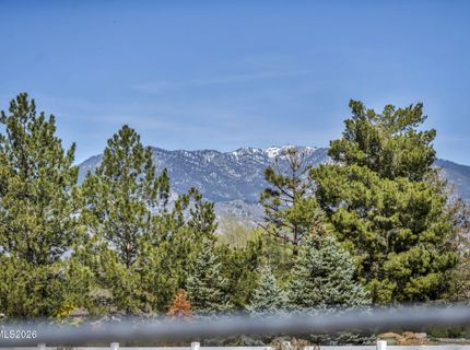 1355 Jackie Lane, Minden, NV 89423 Photo