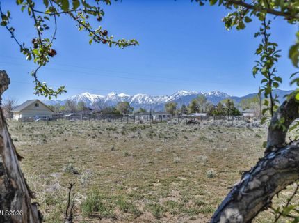 1355 Jackie Lane, Minden, NV 89423 Photo