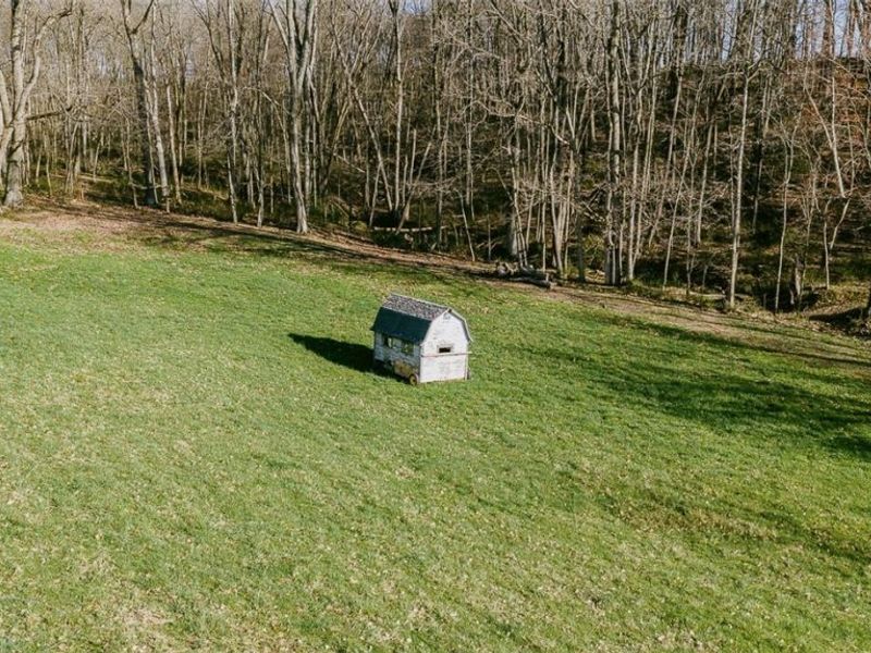 7541 Township Road 462, Loudonville, OH 44842 Photo 14