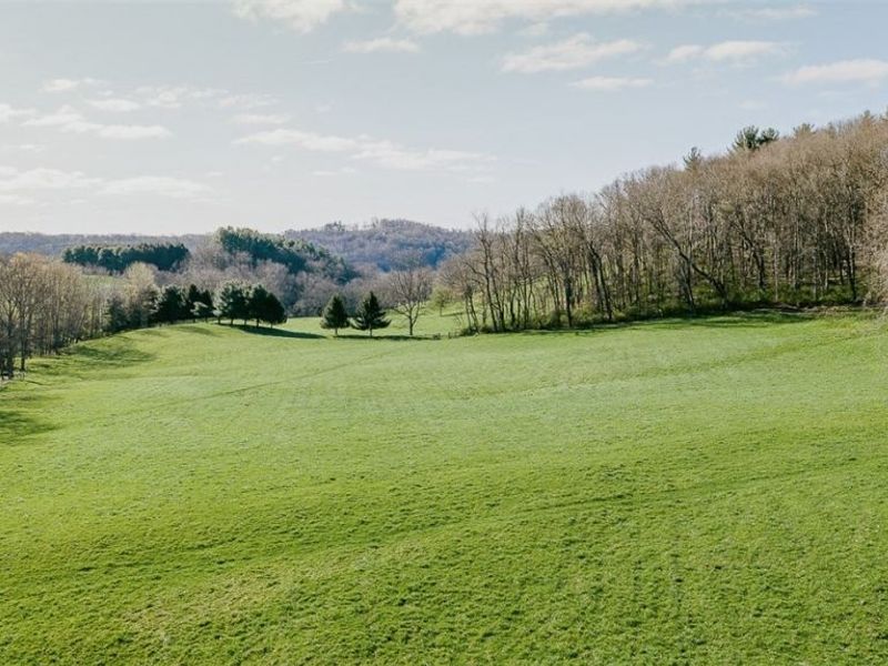 7541 Township Road 462, Loudonville, OH 44842 Photo 16