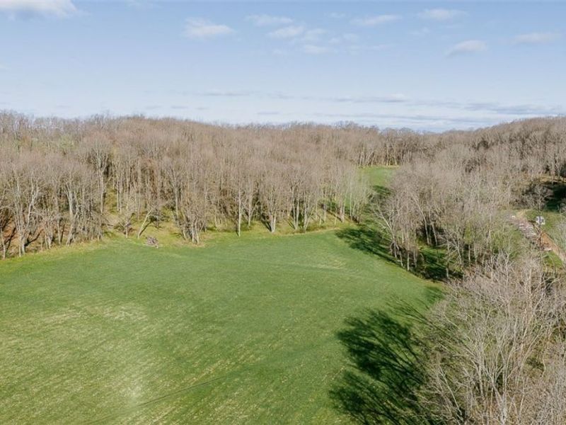 7541 Township Road 462, Loudonville, OH 44842 Photo 17