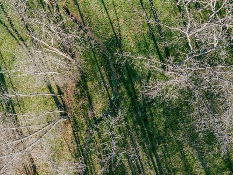 7541 Township Road 462, Loudonville, OH 44842 Photo 18